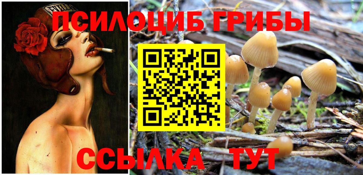 Галлюциногенные грибы Cubensis Кропоткин