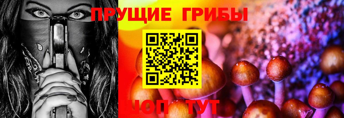 Кропоткин  Псилоцибиновые грибы прущие грибы  Вход с VPN 
